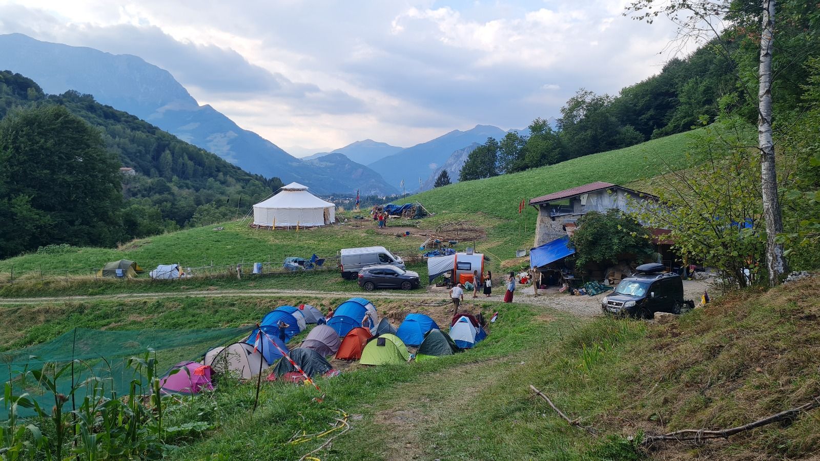 Birch Heart: Heiliger Raum der digitalen Entgiftung in unberührter Natur