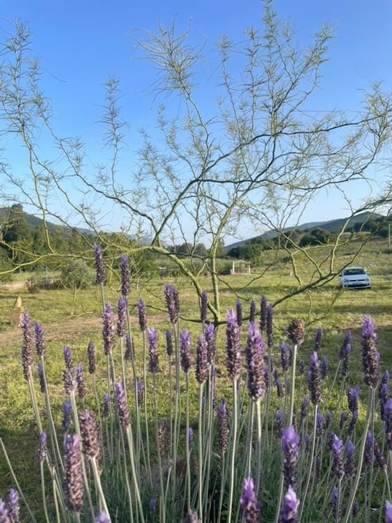 Agricampeggio e Agriturismo sulla costa est della Sardegna