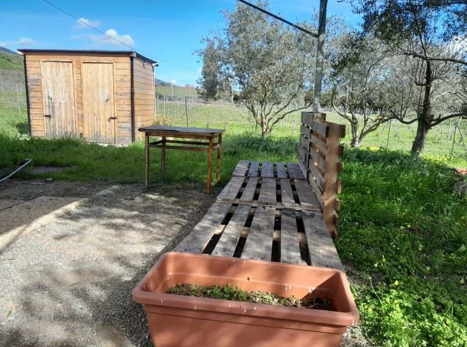 Agricampeggio e Agriturismo sulla costa est della Sardegna