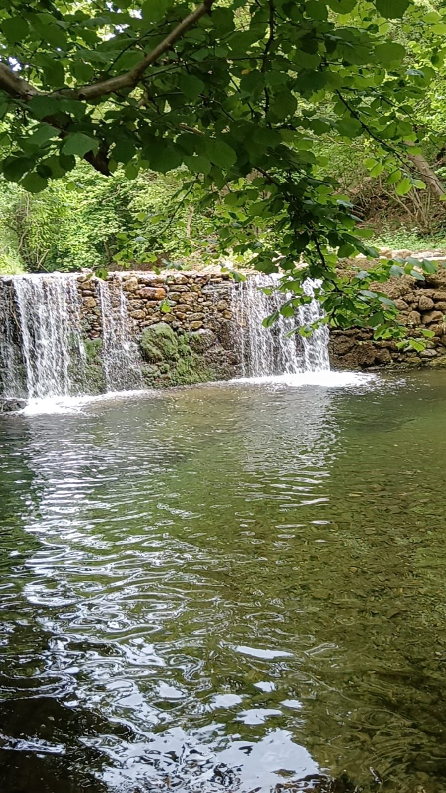 Riserva Naturale Adelasia, Cascina Martinetto